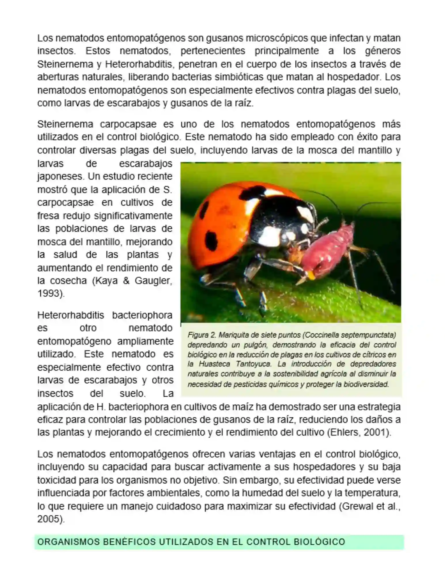 Portada de investigación sobre control biológico de plagas en cítricos