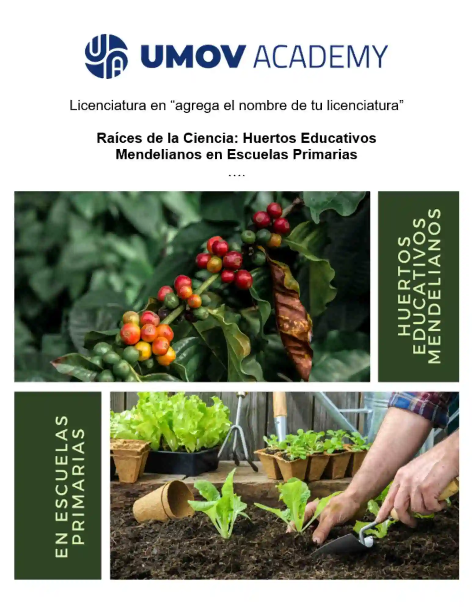 Portada de investigación sobre huertos educativos mendelianos en primaria