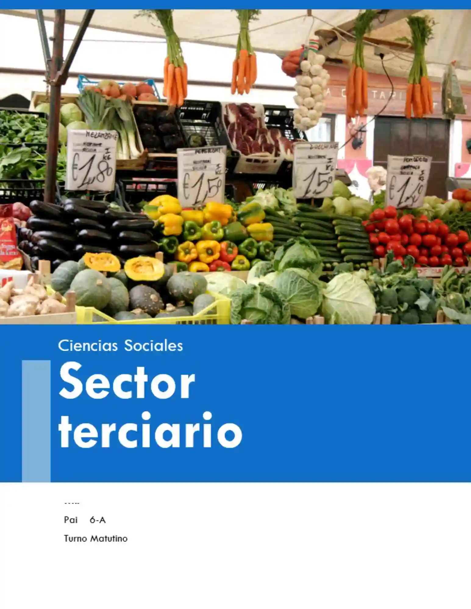 Portada de investigación sobre sector terciario en ciencias sociales