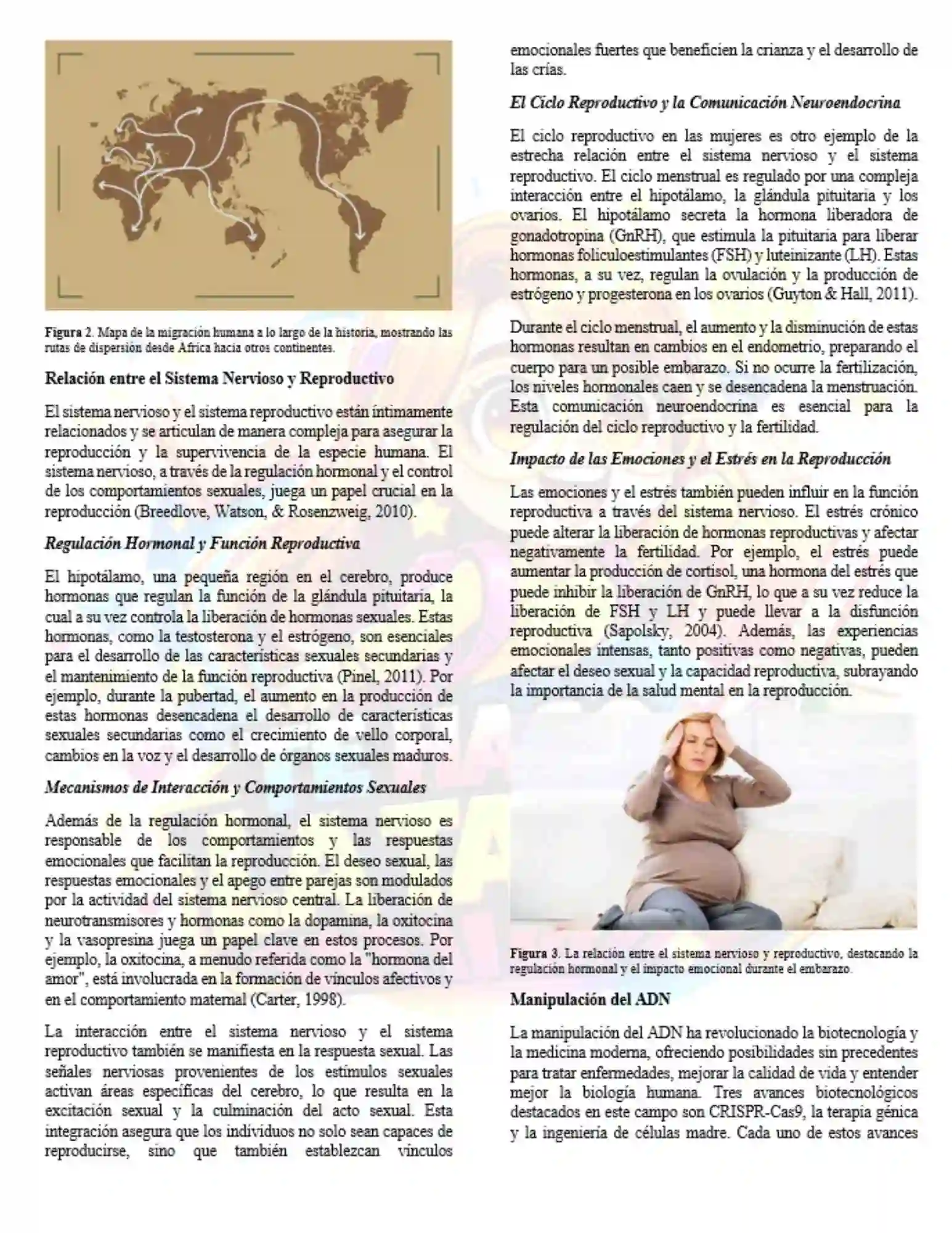 Portada de artículo sobre evolución humana y manipulación del ADN