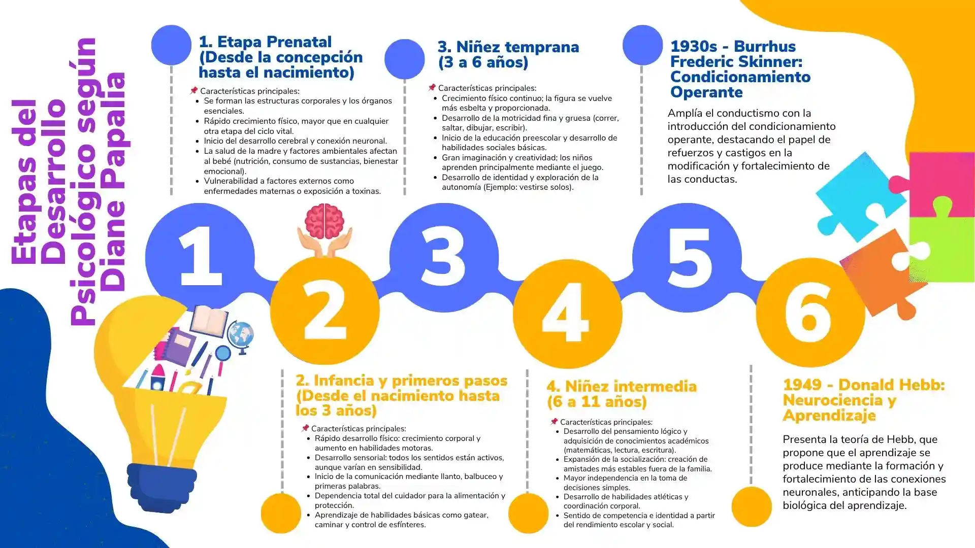 Línea del tiempo de etapas del desarrollo psicológico según Diane Papalia