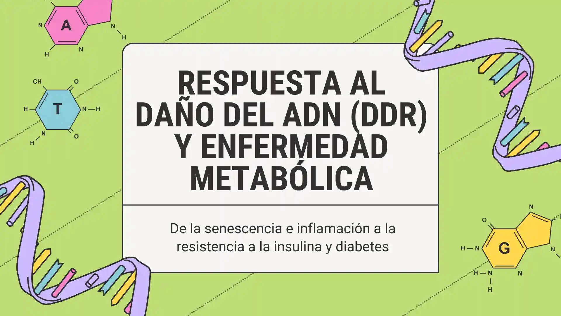 Portada de presentación respuesta al daño del ADN DDR y enfermedad metabólica